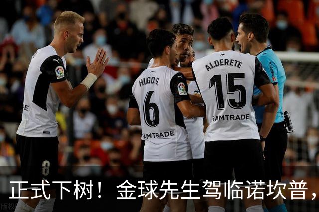 正式下树！金球先生驾临诺坎普，巴萨中场迎来终极拼图